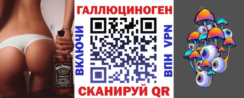 Псилоцибиновые грибы Cubensis  Томмот 