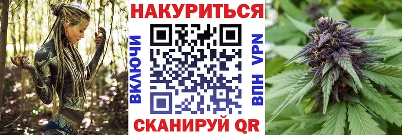 Бошки марихуана OG Kush  Томмот 